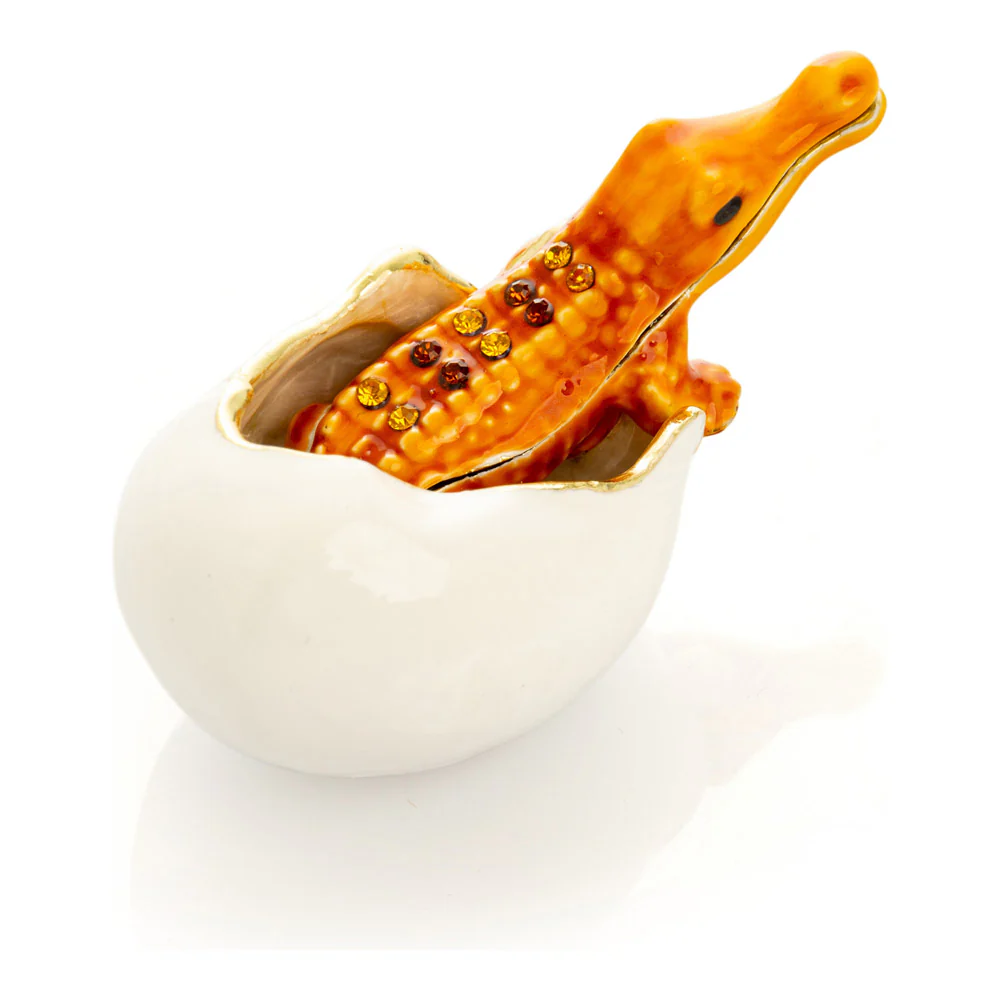 תמונה ממוזערת 14