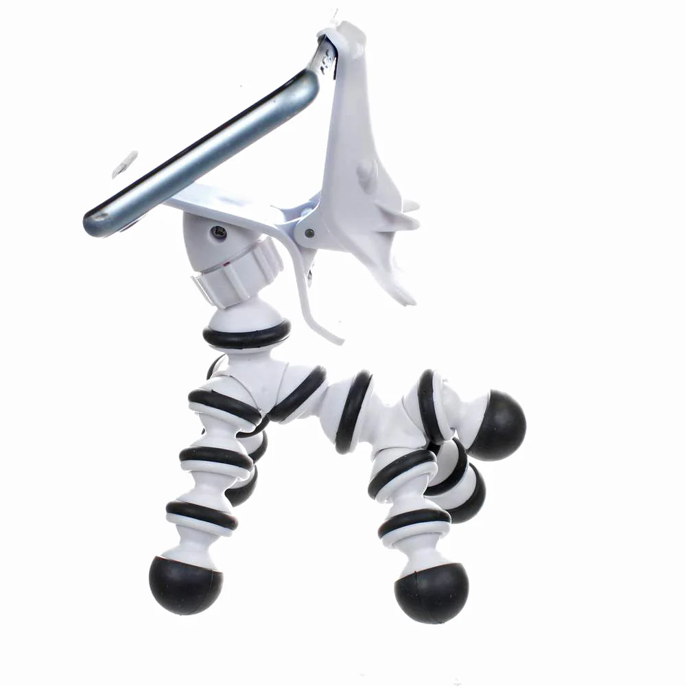 תמונה ממוזערת 14