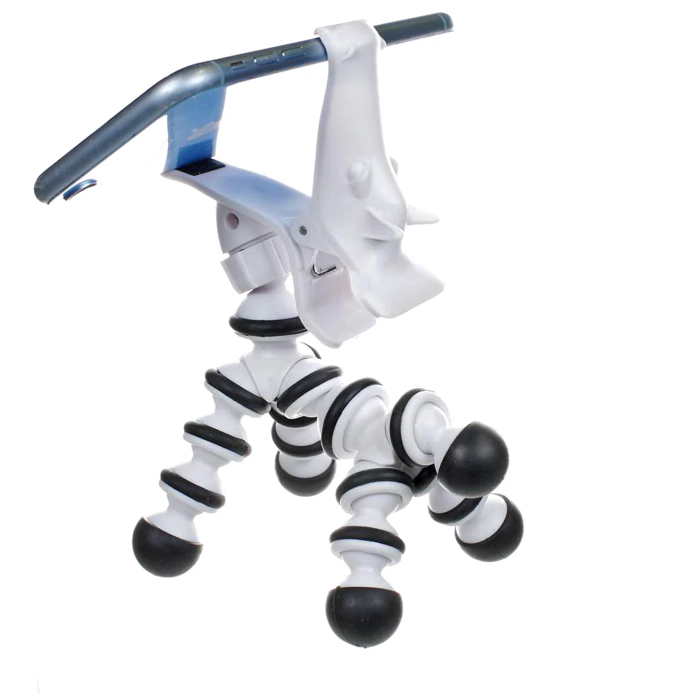 תמונה ממוזערת 17