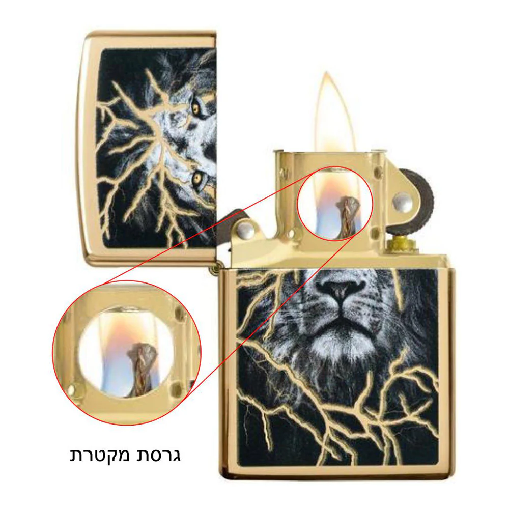 תמונה ממוזערת 4