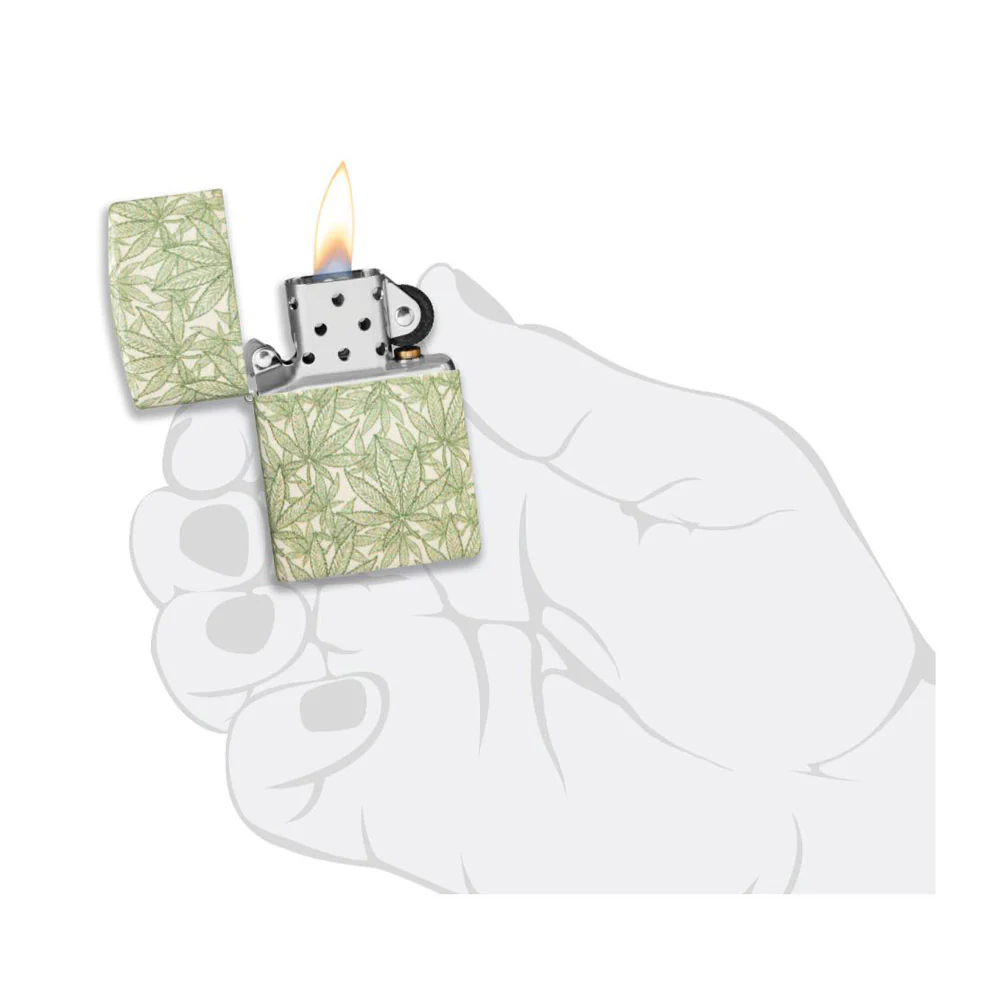 תמונה ממוזערת 10
