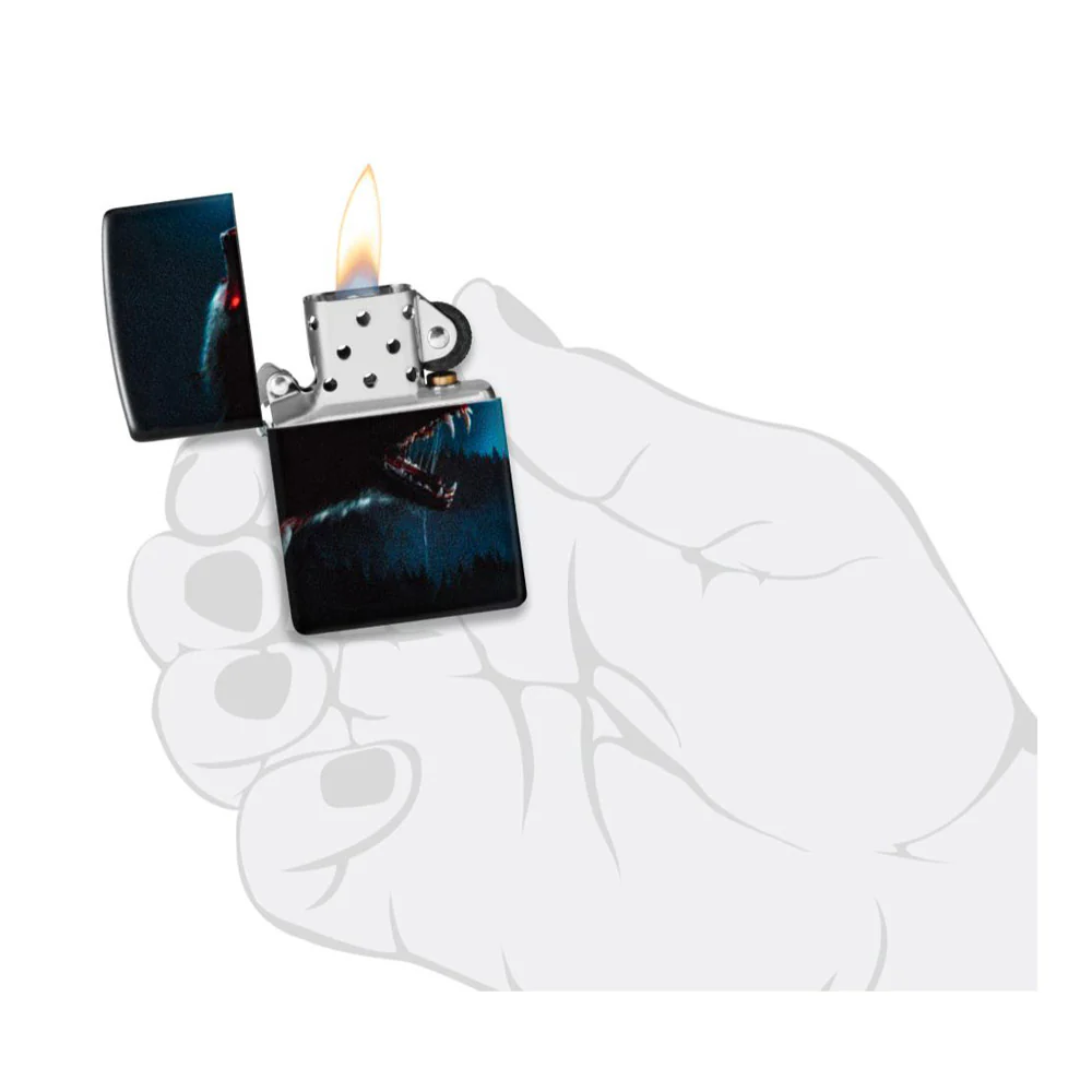 תמונה ממוזערת 7