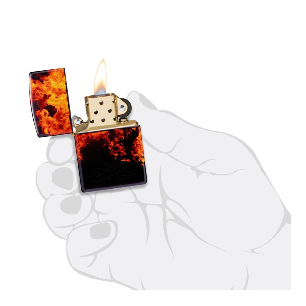 תמונה ממוזערת 5