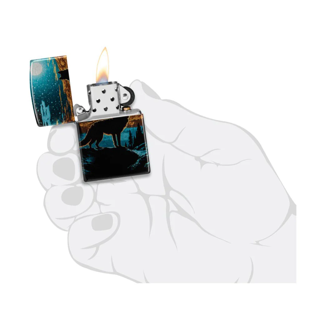 תמונה ממוזערת 10