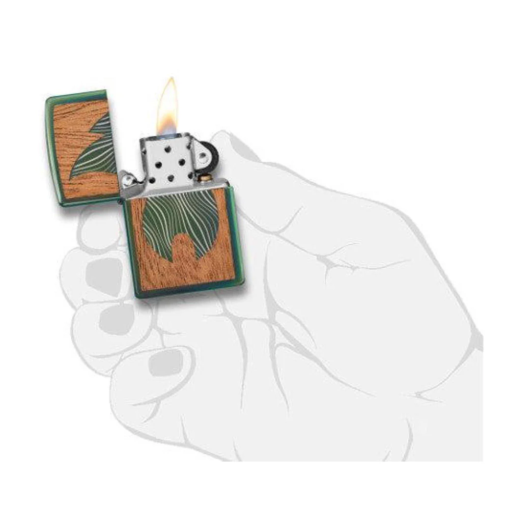 תמונה ממוזערת 7